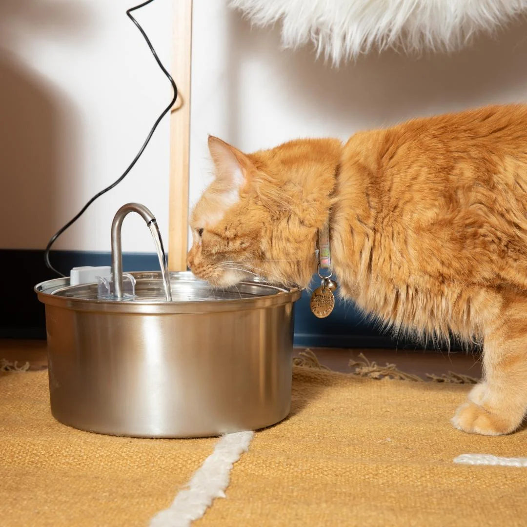 FreshDrop Katzenbrunnen 3.2L (mit Kabel)