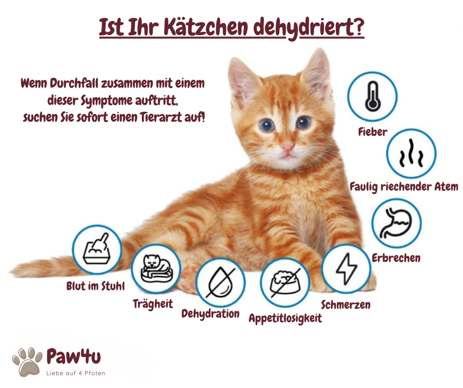FreshDrop Katzenbrunnen 4L (mit Kabel)