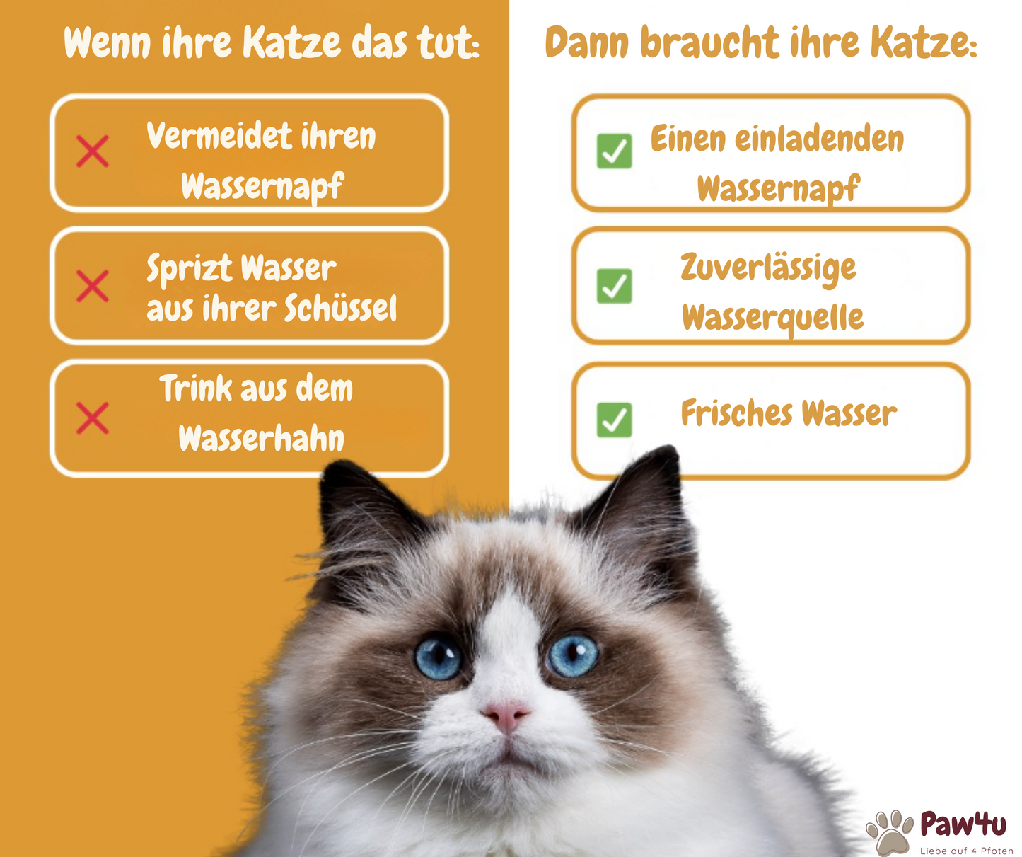 FreshDrop Katzenbrunnen 4L (mit Kabel)