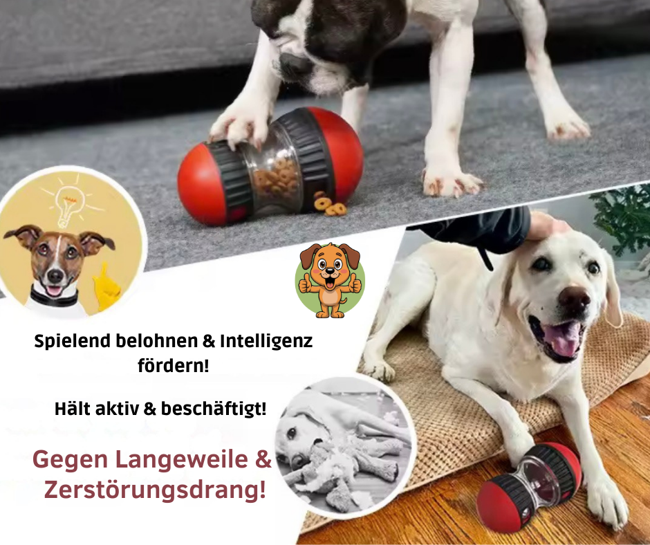 SnackRoller - Interaktiver Snack- & Futterspender für Hunde & Katzen