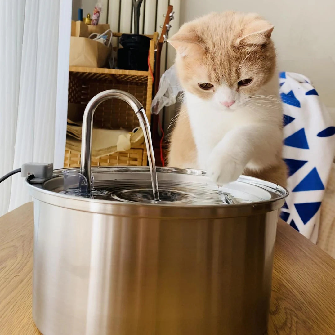 FreshDrop Katzenbrunnen 3.2L (mit Kabel)